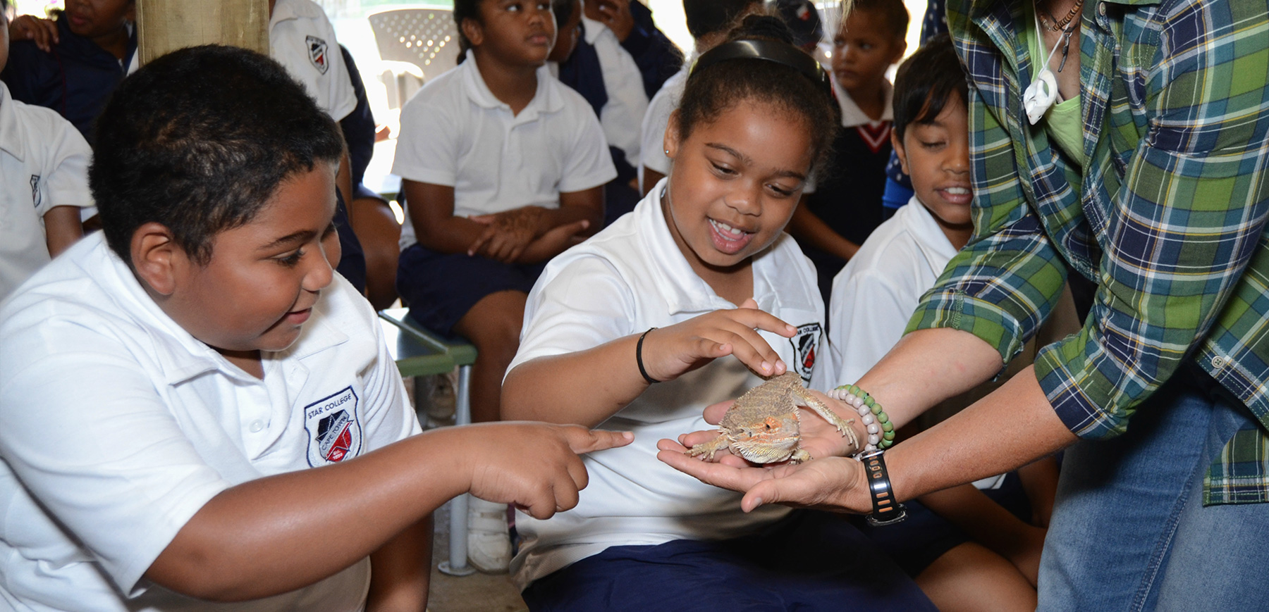 scholars-butterfly-world