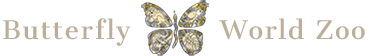 Butterfly World Zoo